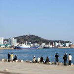 통영 시장 당선자 새 비전과 공약 통영 동피랑에서 바라본 한려해상 풍경과 항구 전경