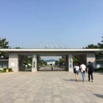 횡성 웰리힐리파크 워터플래닛 1박2일 찐후기 횡성 웰리힐리파크 워터플래닛 입구와 내부 풍경