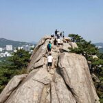 WPC 우양산 펴진 모습 자외선 차단