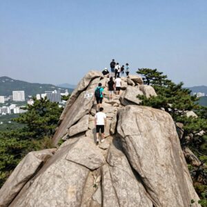 WPC 우양산 펴진 모습 자외선 차단