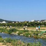 양양 어성전리 부동산 매매와 생활 정보 양양 어성전리 토지 전경 과수원과 어성천