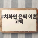 차화연 은퇴 이혼 고백 전성기에 그만둔 이유 차화연 은퇴 이혼 고백