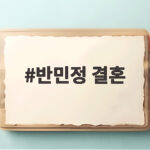 반민정 결혼 9월 6일 예비신랑은 누구 반민정 결혼