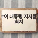 이 대통령 지지율 최저 기록과 배경 이 대통령 지지율 최저