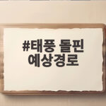 태풍 돌핀 예상경로 폭염에 미칠 영향 태풍 돌핀 예상경로