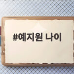 예지원 나이