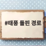 태풍 돌핀 경로 확인과 폭염 대비 전략 태풍 돌핀 경로