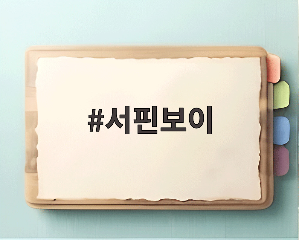 서핀보이