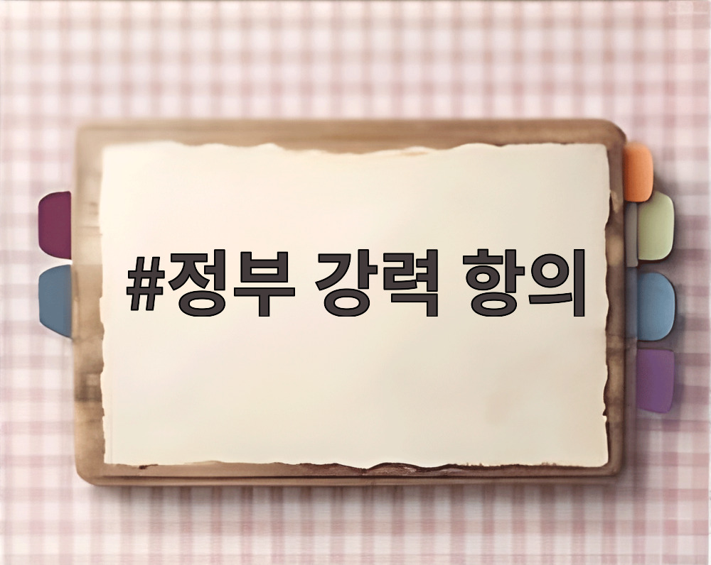 정부 강력 항의