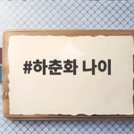 하춘화 나이 만6세 데뷔 기네스북 기록 이야기 하춘화 나이