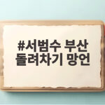 서범수 부산 돌려차기 망언 논란과 2차 가해 서범수 부산 돌려차기 망언