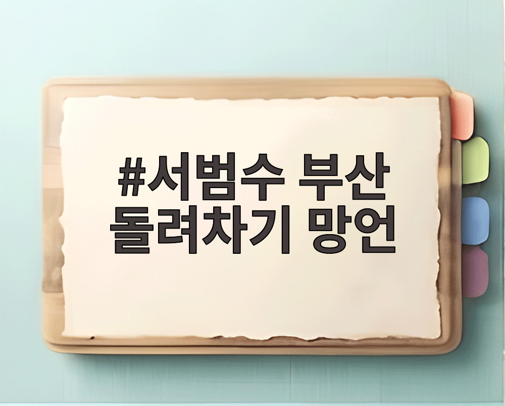서범수 부산 돌려차기 망언