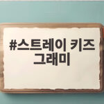 스트레이 키즈 그래미