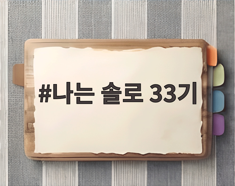 나는솔로 33기