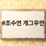 조수연 개그우먼 미스트롯 포유 핑크빛 현장 조수연 개그우먼