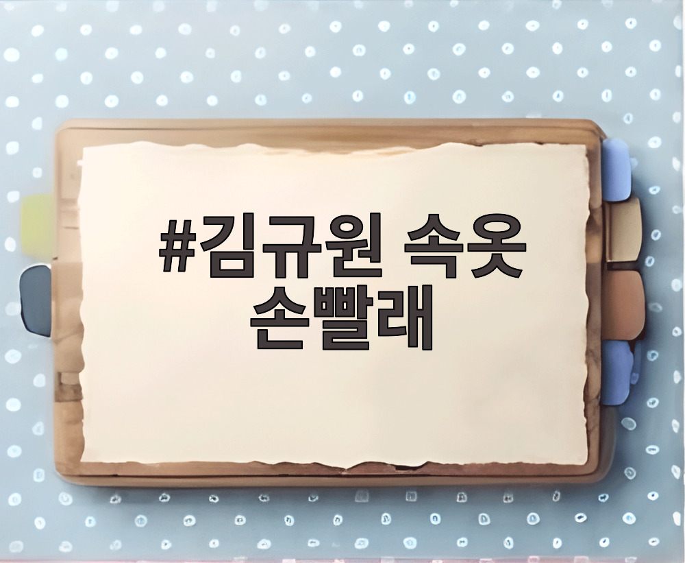 김규원 속옷 손빨래