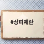상피제란 경찰 가족 사건 수사에서 배제하는 제도 상피제란