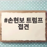 손현보 트럼프 접견 백악관 환담과 한미 관계 의미 손현보 트럼프 접견