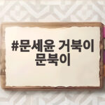 문세윤 거북이 문북이