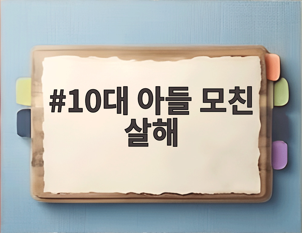 10대 아들 모친 살해