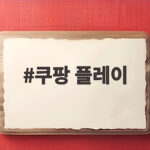 쿠팡 플레이