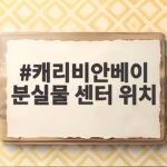 캐리비안베이 분실물 센터 위치 확인 캐리비안베이 분실물 센터 위치