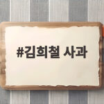 김희철 사과 거꾸로 태극기 논란 정리 김희철 사과