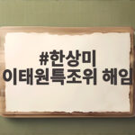 한상미 이태원특조위 해임 파장과 전망 한상미 이태원특조위 해임