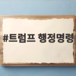 트럼프 행정명령 원정출산 시민권 제한 총정리 트럼프 행정명령
