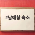 남애항 숙소 선택 이렇게 하면 후회 없어요 남애항 숙소