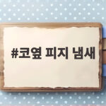 코옆 피지 냄새 원인과 관리 핵심 코옆 피지 냄새