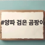양파 검은 곰팡이 확인과 안전한 보관 양파 검은 곰팡이