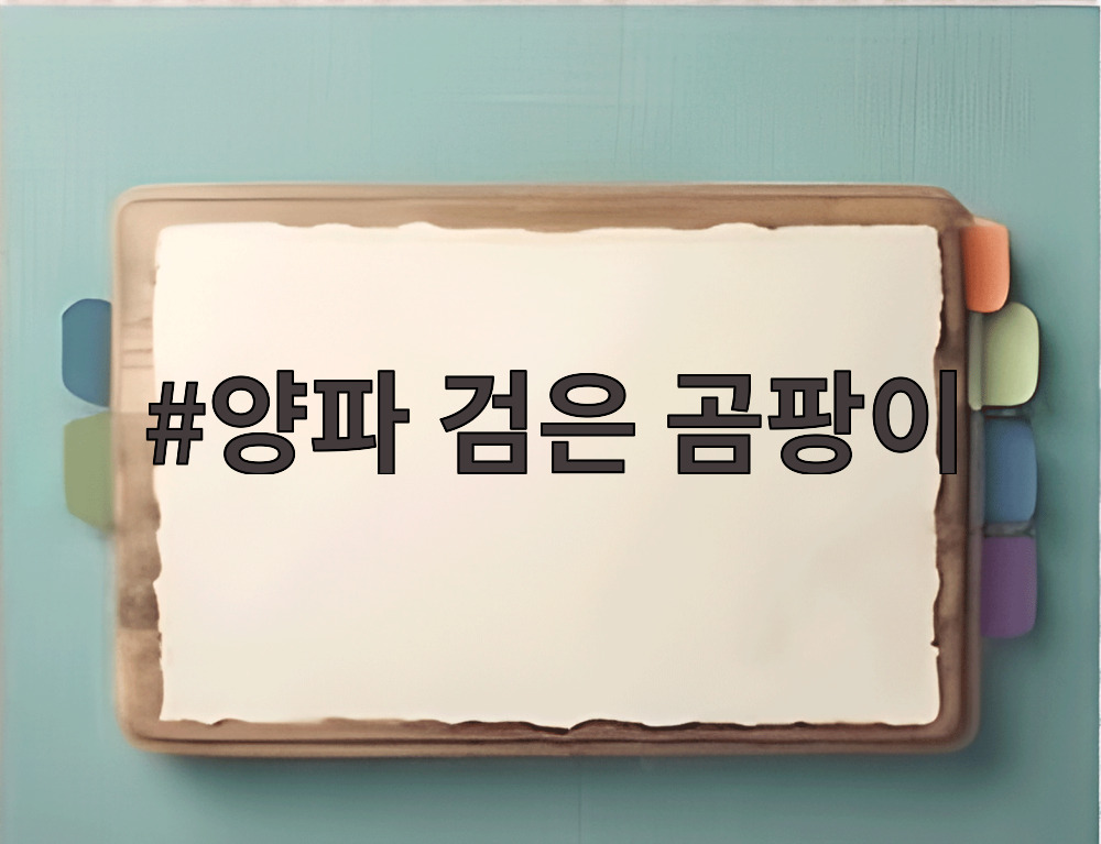 양파 검은 곰팡이