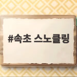 속초 스노클링 장사항 여행 팁 속초 스노클링