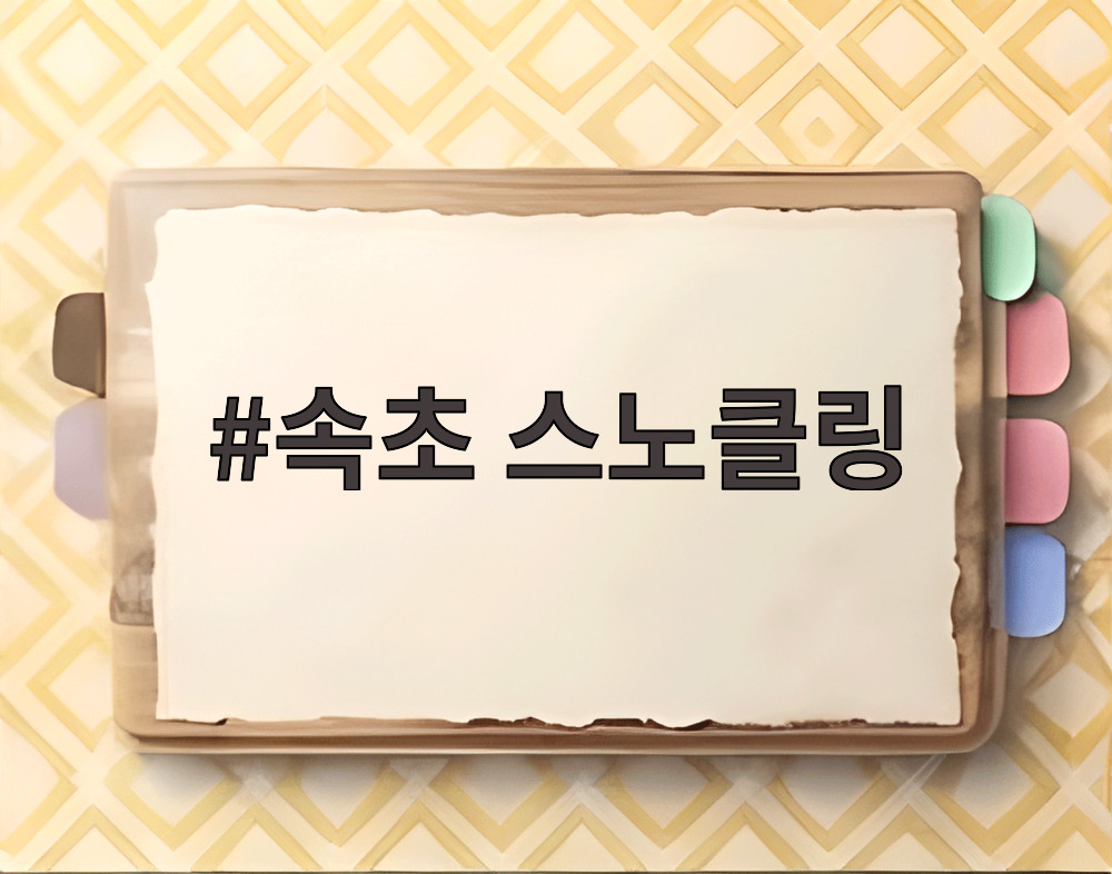 속초 스노클링