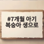 7개월 아기 복숭아 생으로 시작하기 7개월 아기 복숭아 생으로