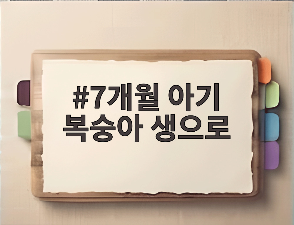 7개월 아기 복숭아 생으로