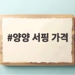 양양 서핑 가격과 강습 정보 양양 서핑 가격