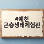 예천 곤충생태체험관 아이와 실내 나들이 예천 곤충생태체험관