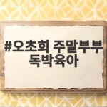 오초희 주말부부 독박육아 결혼지옥 180회 오초희 주말부부 독박육아
