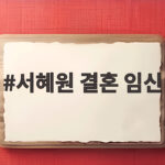 서혜원 결혼 임신 발표와 연기 활동 총정리 서혜원 결혼 임신