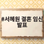 서혜원 결혼 임신 발표 겹경사 팬들 축하 서혜원 결혼 임신 발표