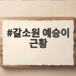 갈소원 예승이 근황 21살 성숙한 미모와 큐브 취미 갈소원 예승이 근황