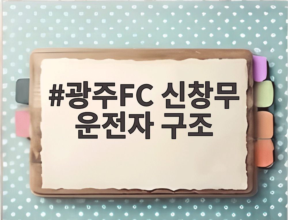 광주FC 신창무 운전자 구조