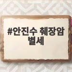 안진수 췌장암 별세 향년 81세 남긴 작품들 안진수 췌장암 별세