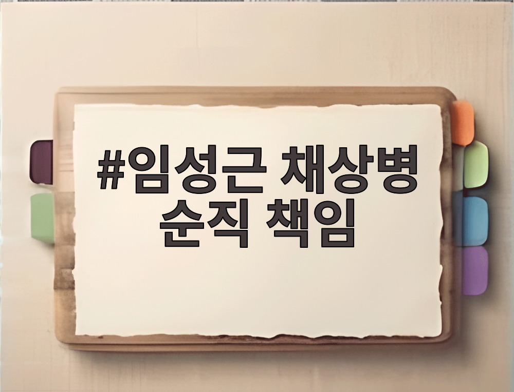 임성근 채상병 순직 책임