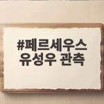 페르세우스 유성우 관측 오늘 밤 절정 육안으로 즐기는 법 페르세우스 유성우 관측