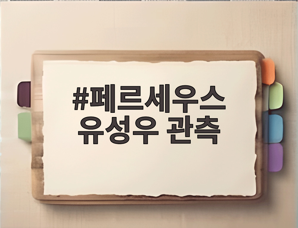 페르세우스 유성우 관측