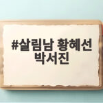 살림남 황혜선 박서진 핑크빛 이상형 살림남 황혜선 박서진