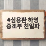심용환 하영 증조부 친일파 논란 신중한 입장 심용환 하영 증조부 친일파